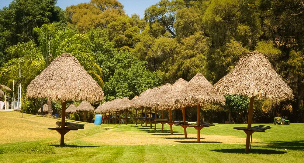 Palapas con mesas sobre el pasto